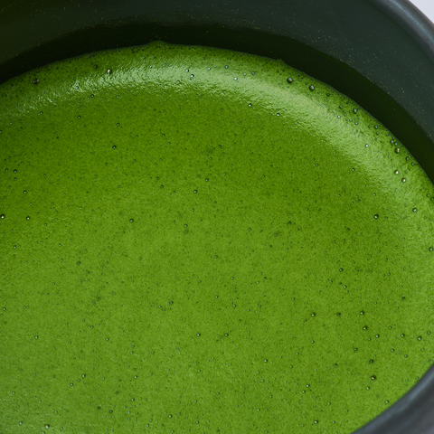 Matcha 達 -TATSU-